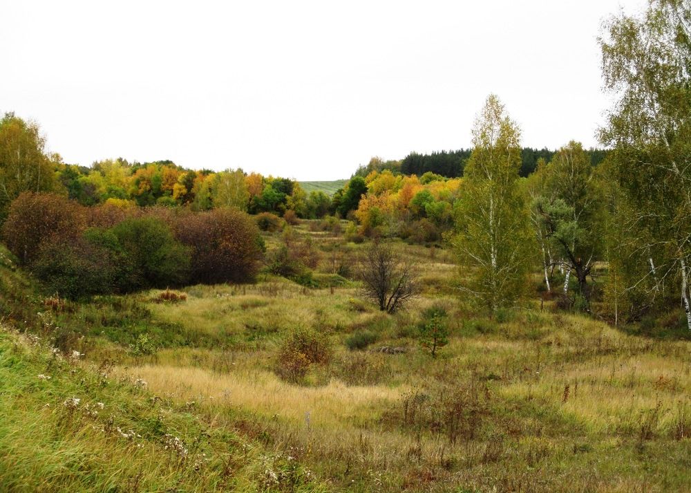 Photograph by Татьяна Иваненкова