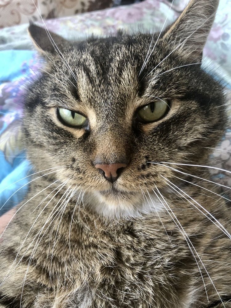 Photograph by Олеся Семёнова