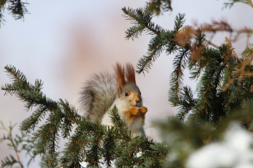 Photograph by Наталья Трифуз