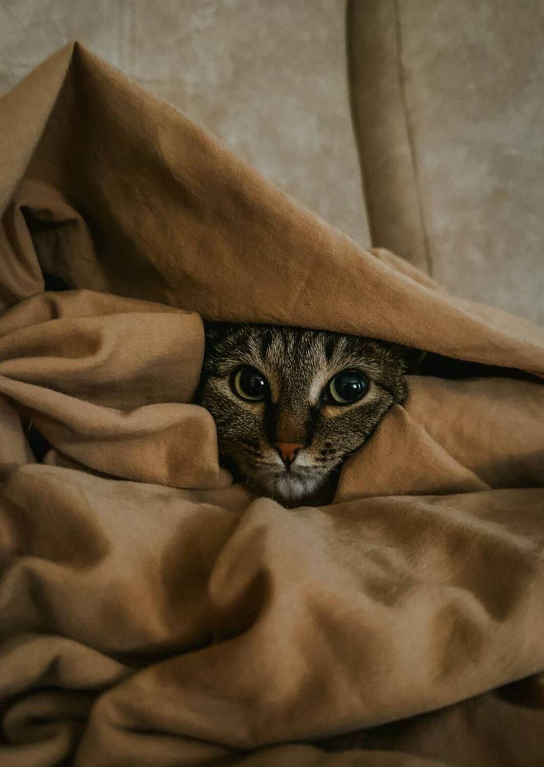 Фотография #9807607