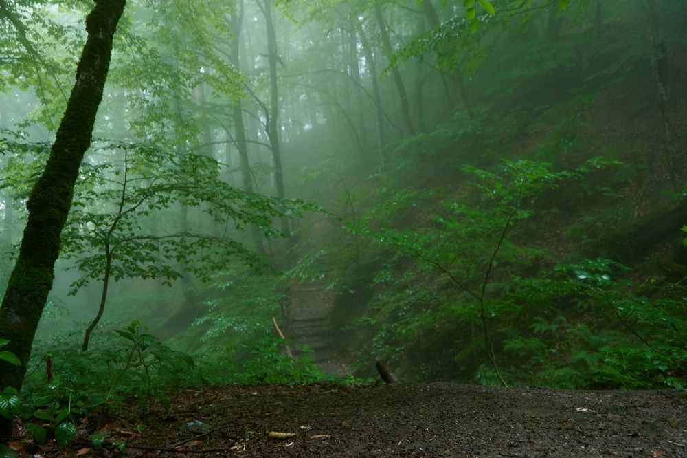 Photograph by Андрей Трякин