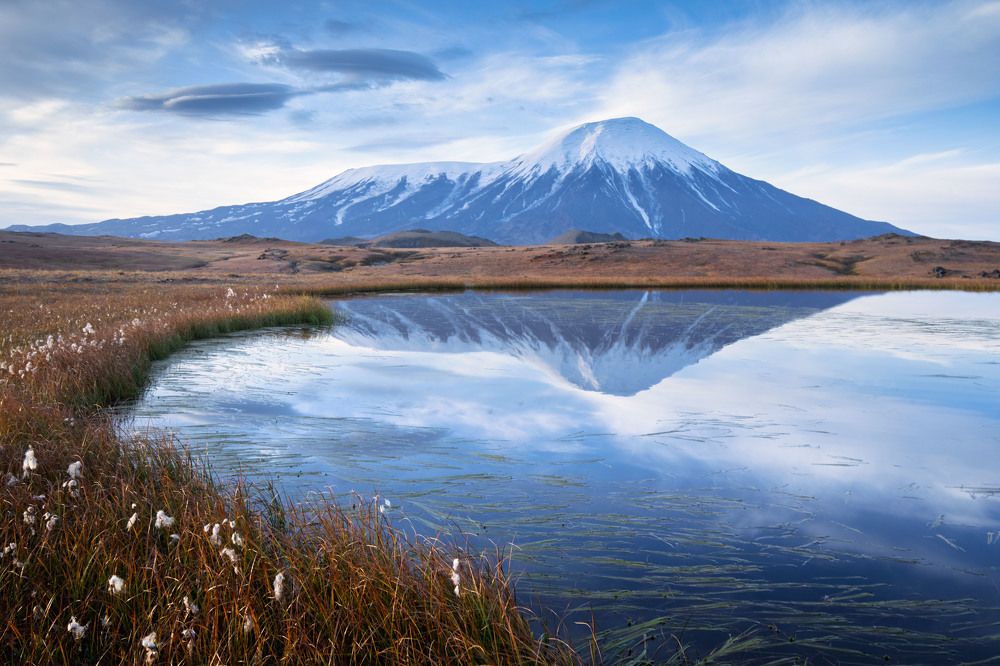 Сфинкс Толбачик