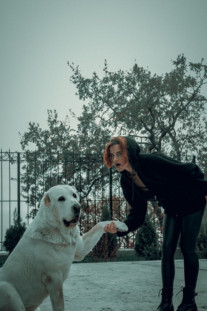 Photograph by Даниил Петруненко