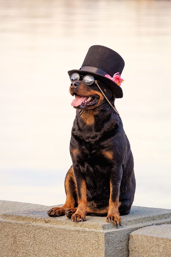 Photograph by Александр Максимов