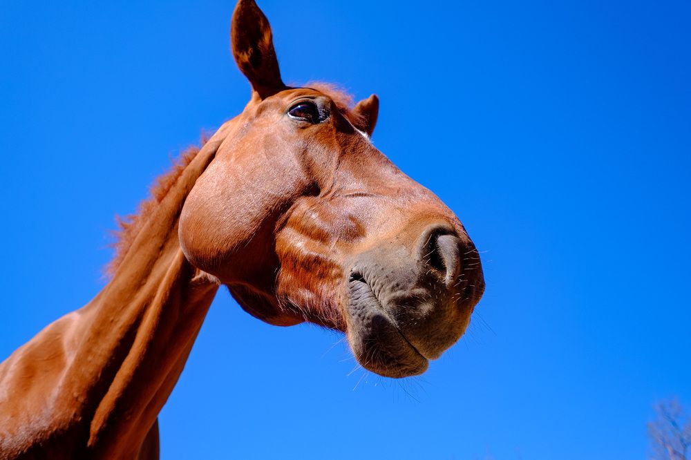 Photograph by Александр Максимов