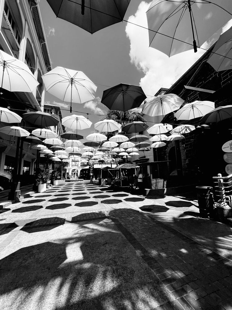 Фотография автора Olga Alekseeva