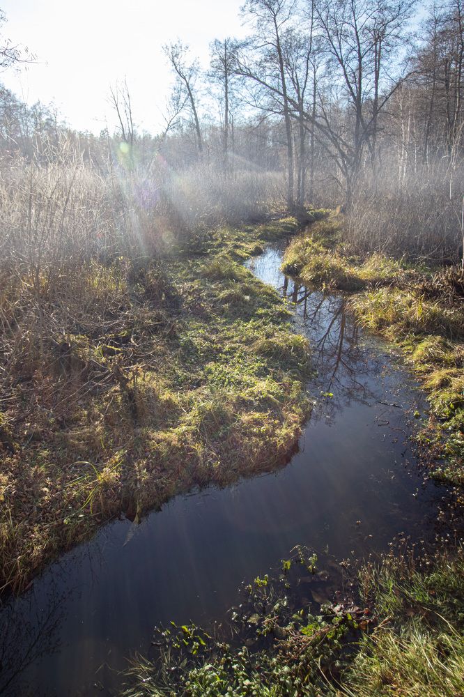 Photograph by Lapin Vitaly