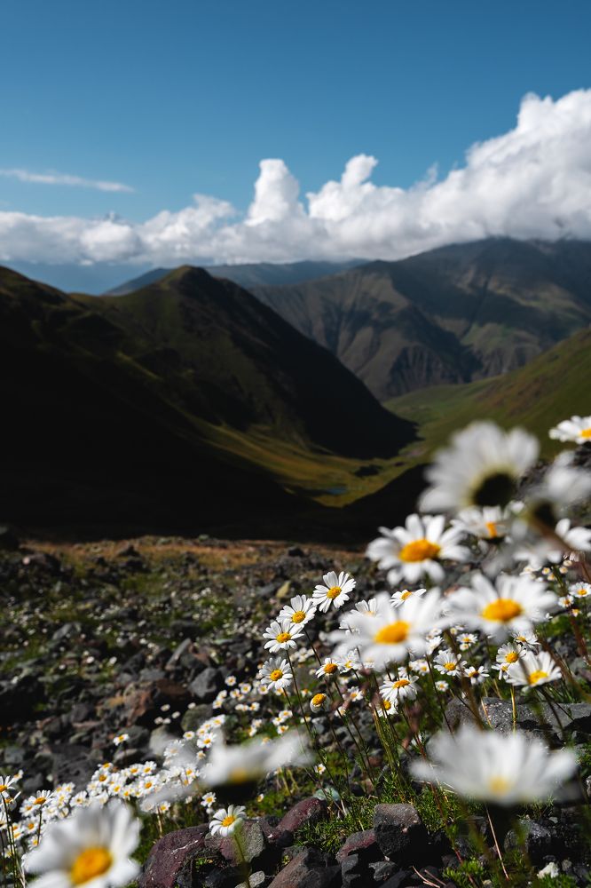 Photograph by Bogdan Kalashnikov