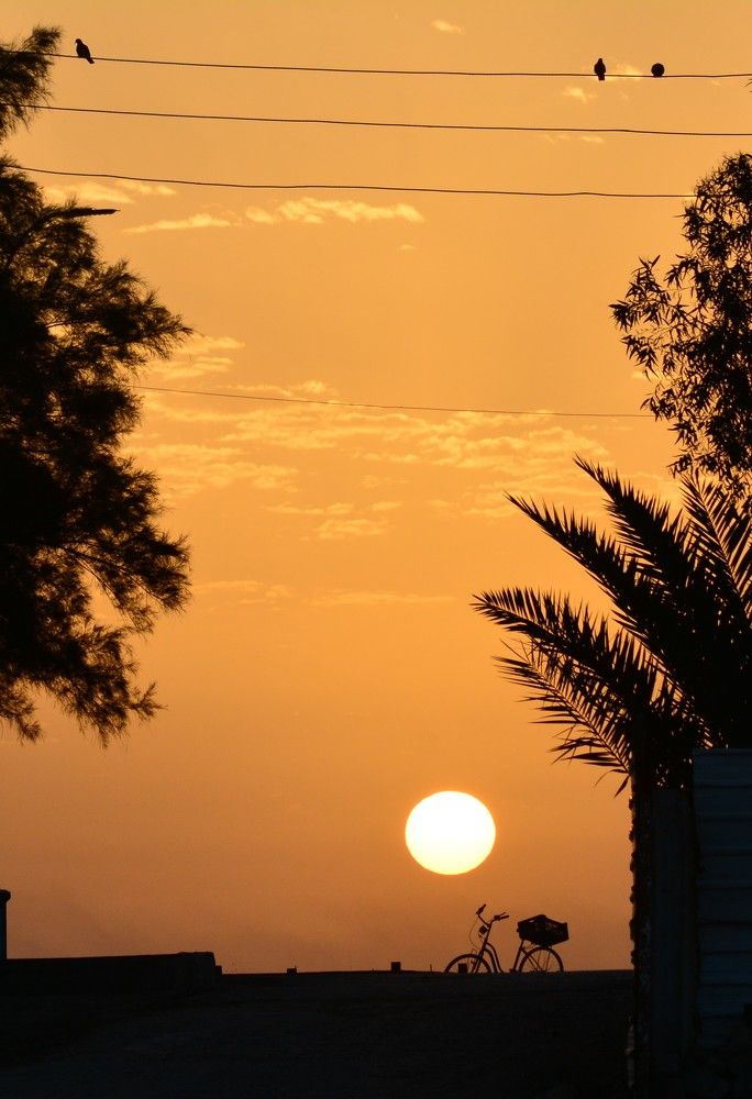 Photograph by Montadher AL-waeil