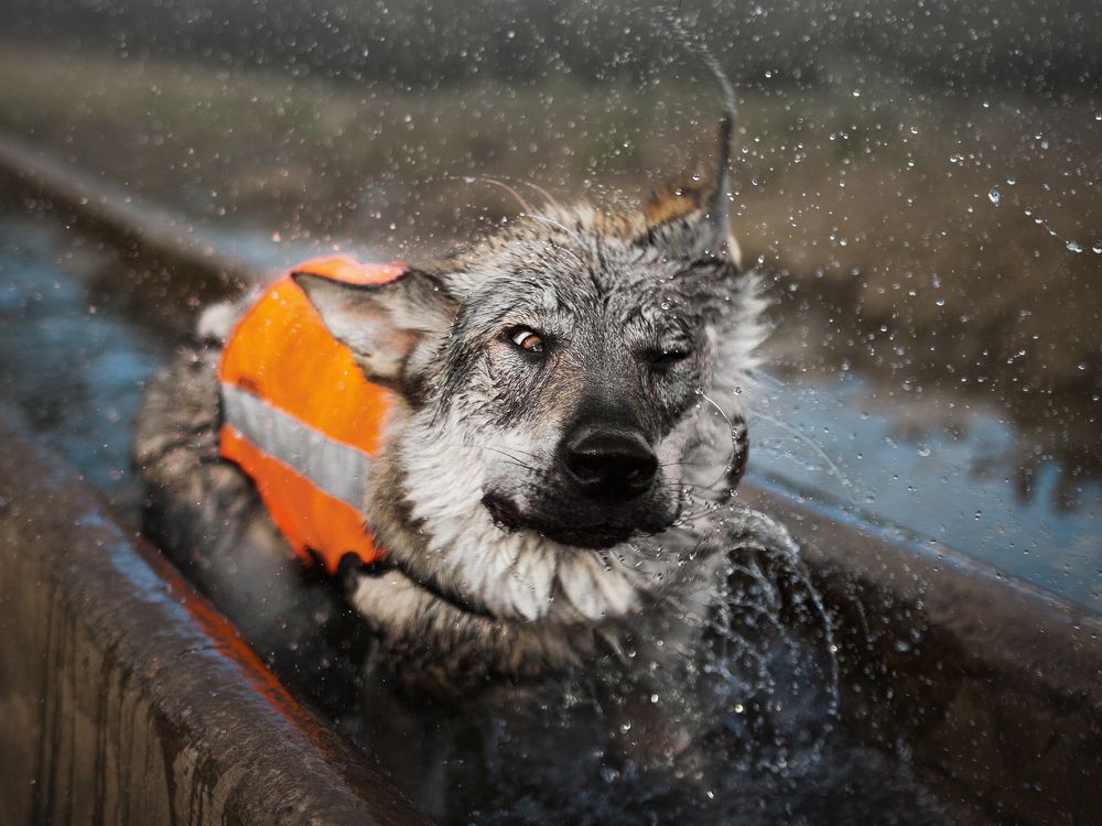 Photograph by Dorota Hnatová