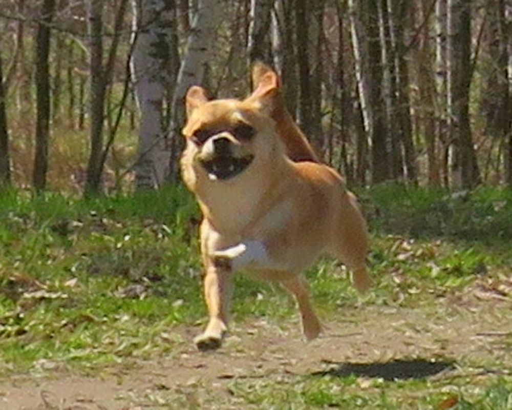 Photograph by Елена Кузина