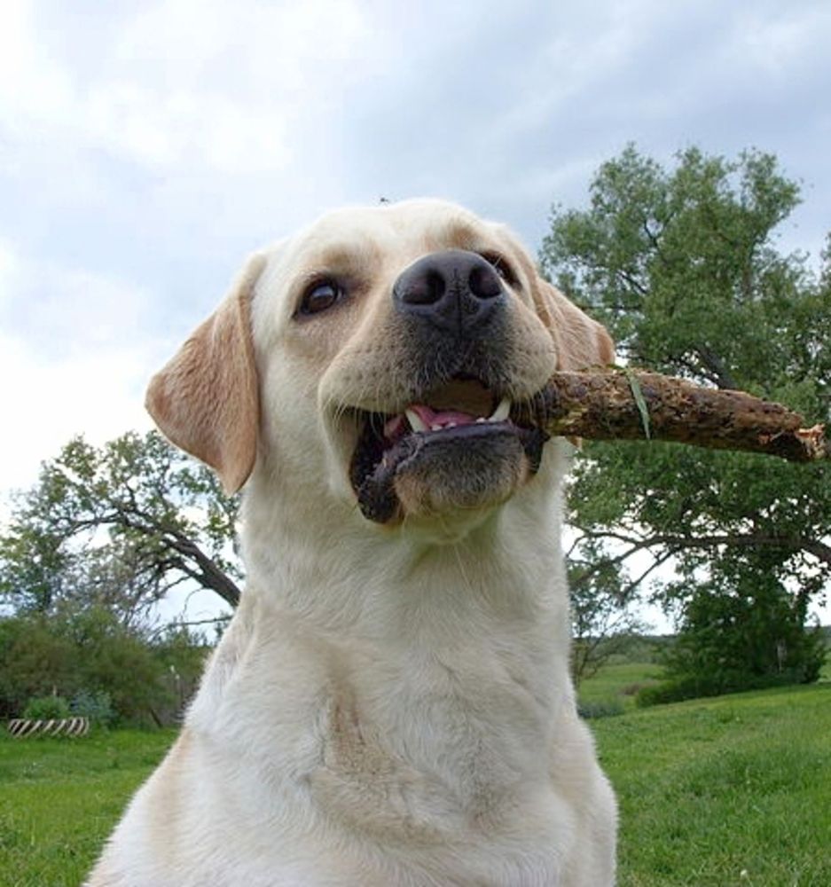 Photograph by Елена Кузина