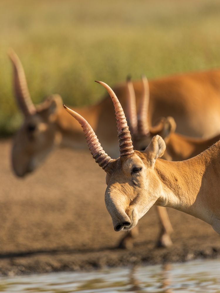 Photograph by Александр Ильин