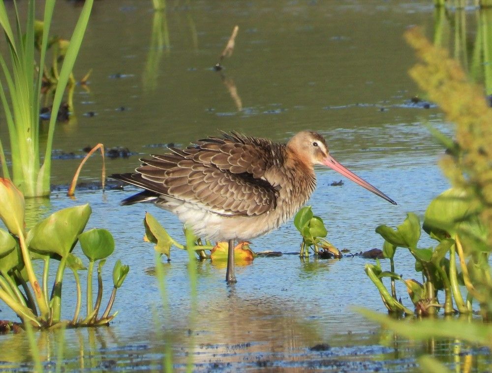 Photograph by Владимир Джерихов