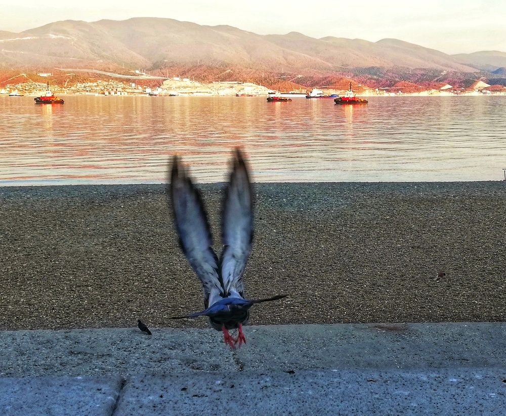 Photograph by Марина Жарикова