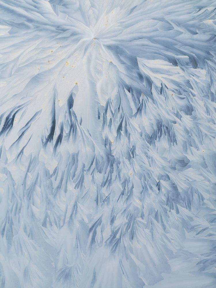 Photograph by Yuan Ji