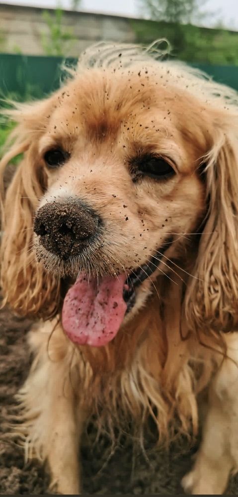 Photograph by Наталья Шаклеина