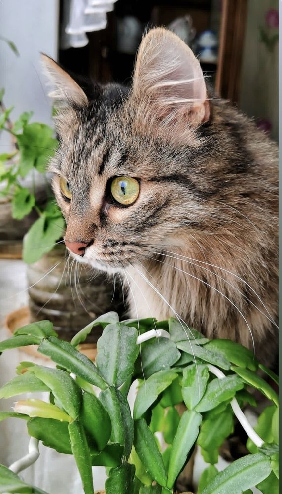 Photograph by Наталья Шаклеина