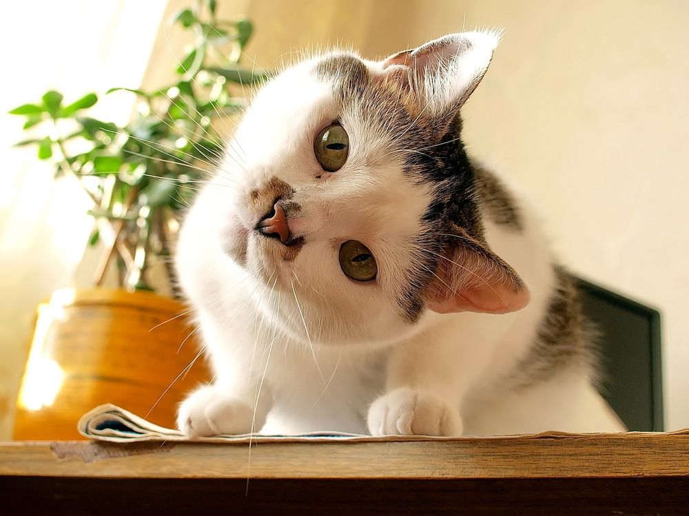 Photograph by Игорь Чеботарёв