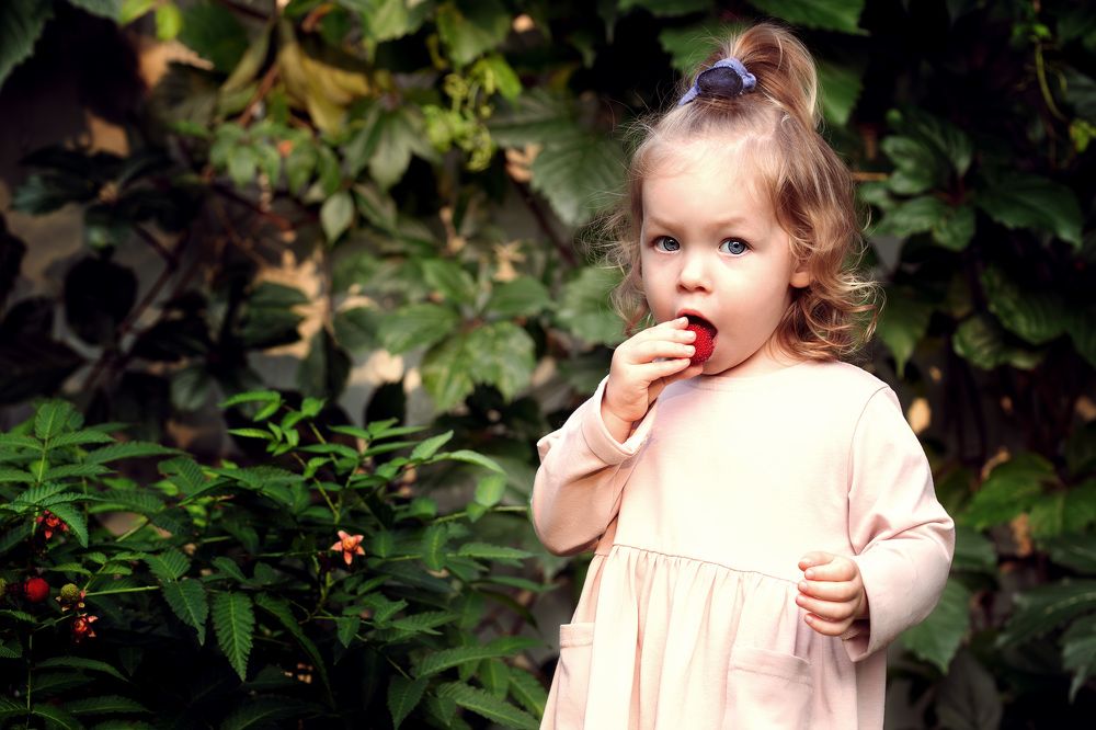 Photograph by Елена Овчинникова