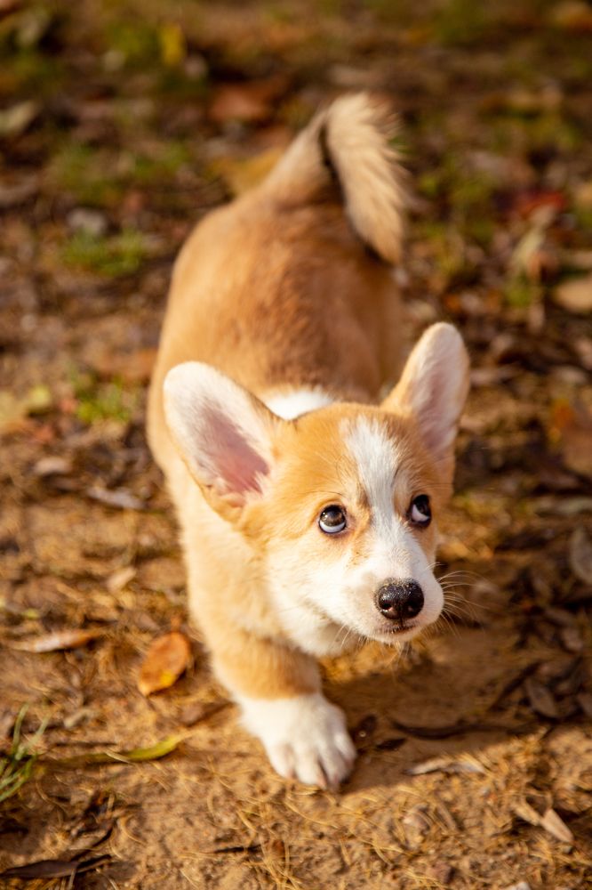 Фотография автора Станислава Гордеева