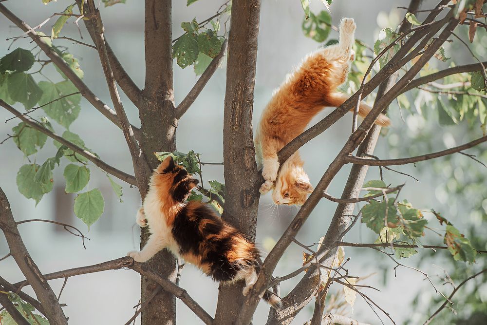 Photograph by Сальников Евгений