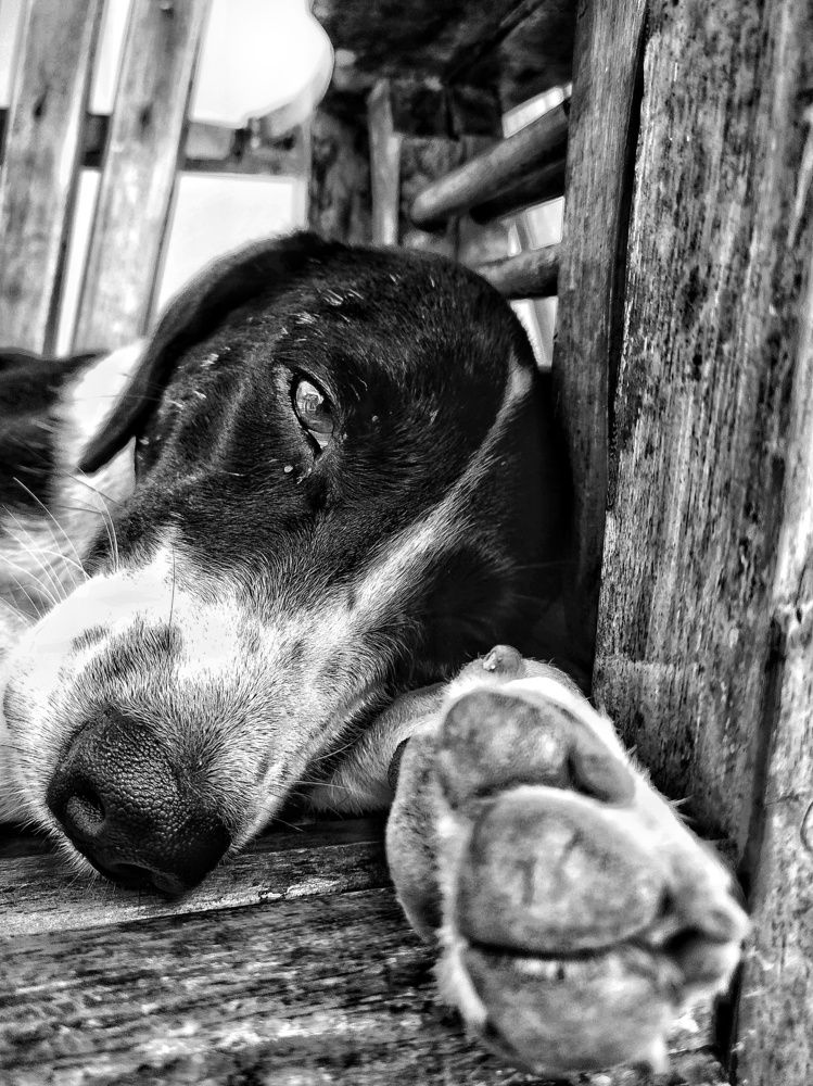 Фотография автора Julie Mishka