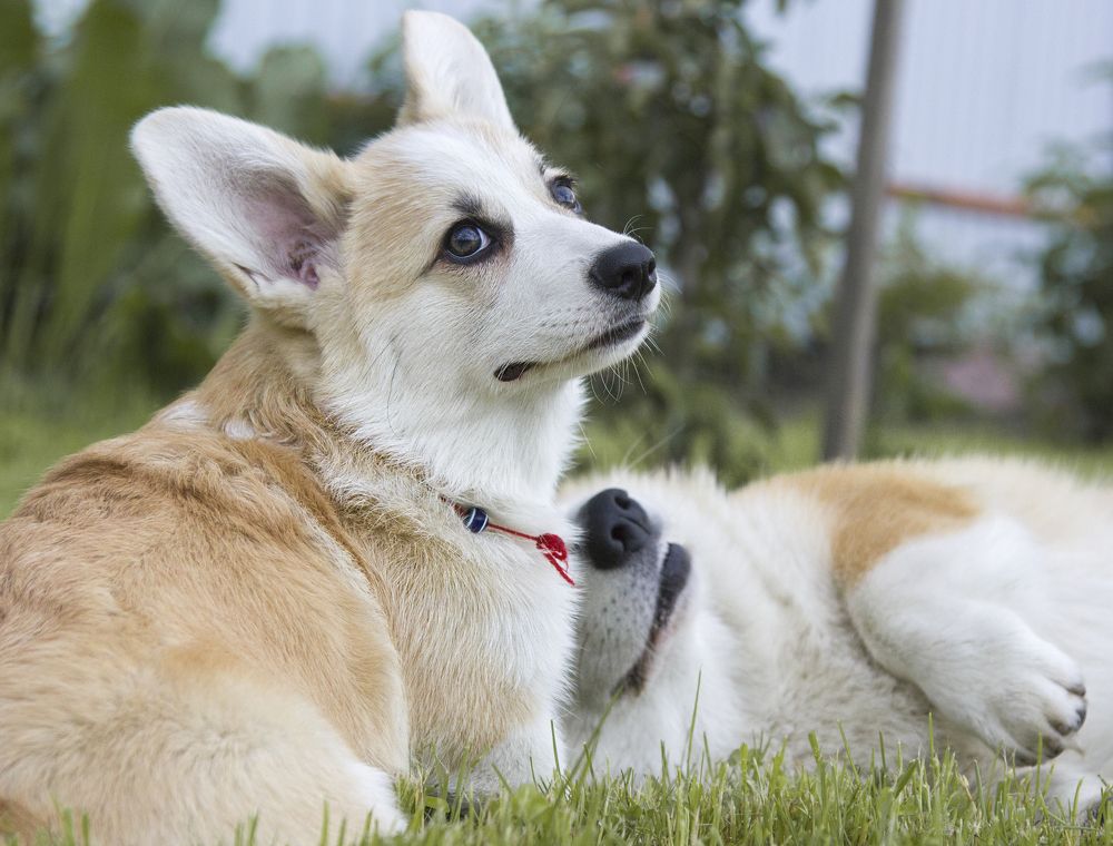 Photograph by Наталья Кирина