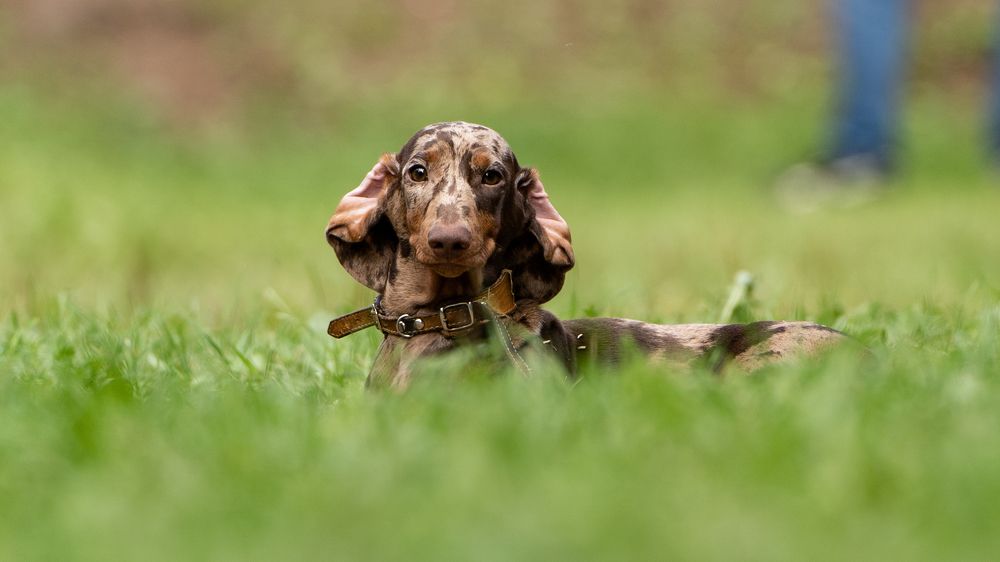 Photograph by Ольга Пачина