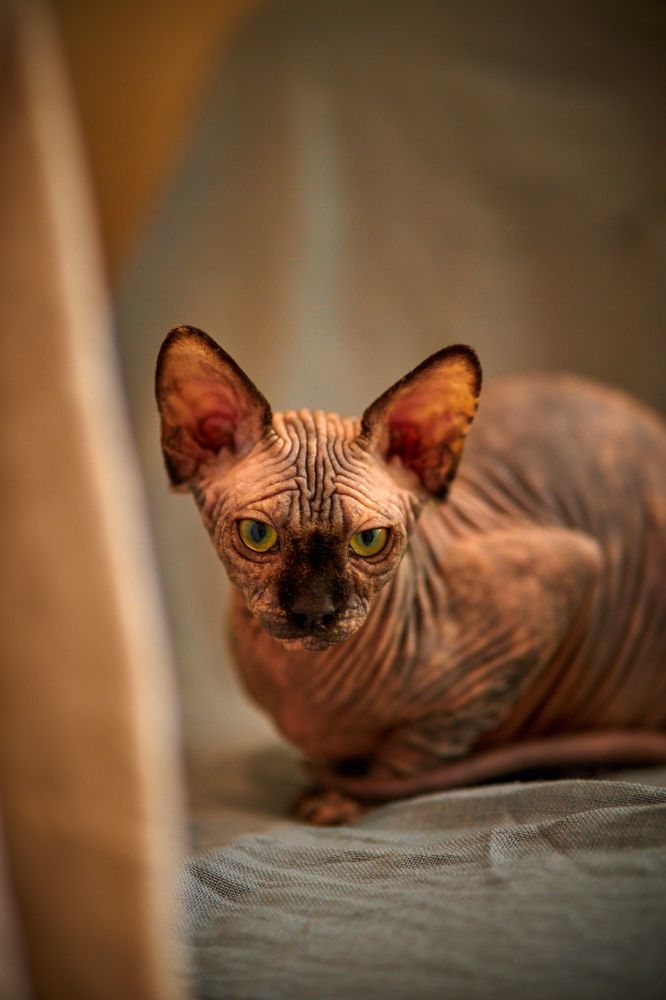 Photograph by Игорь Федянин