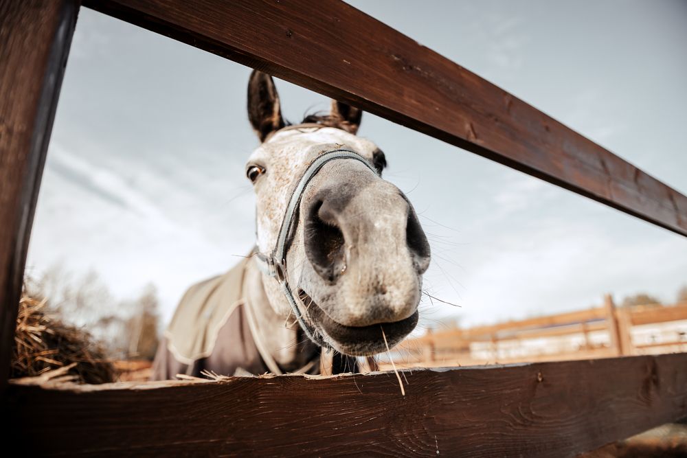 Photograph by Сальников Евгений