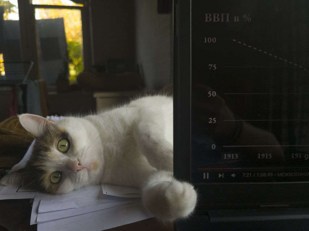 Photograph by Елена Можар