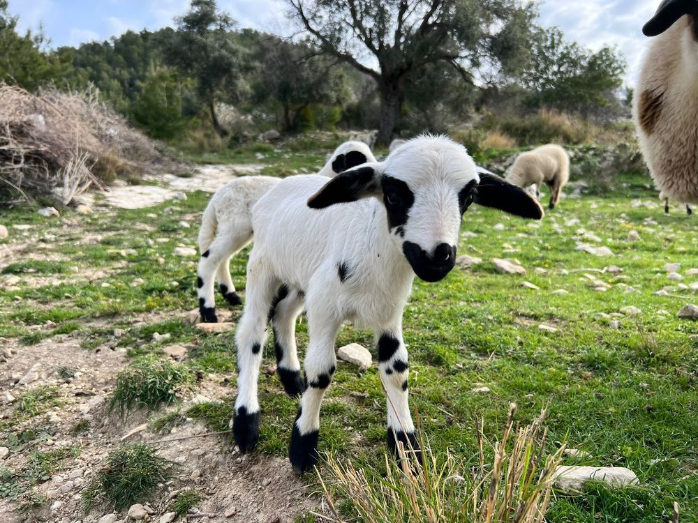 Photograph by Татьяна Унал