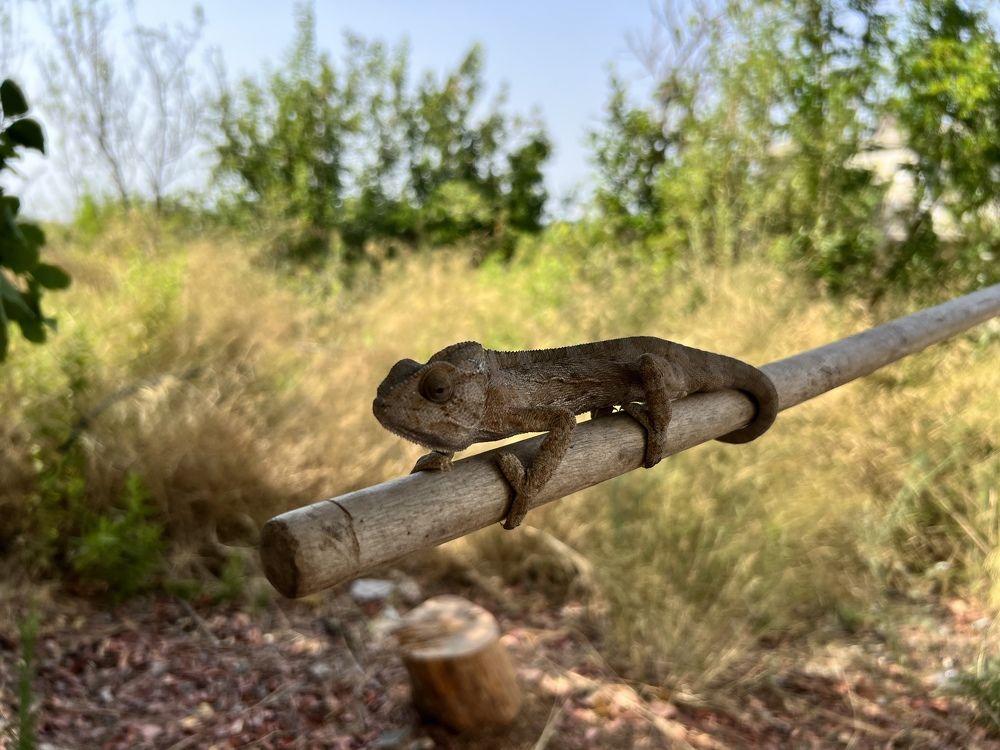 Photograph by Татьяна Унал