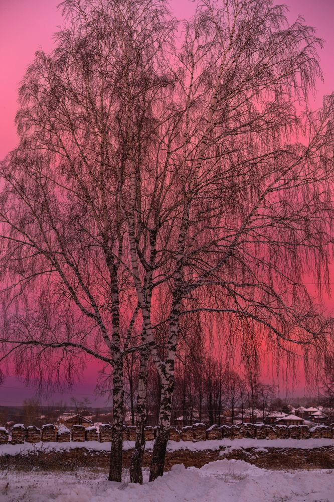 Photograph by Виталий Са