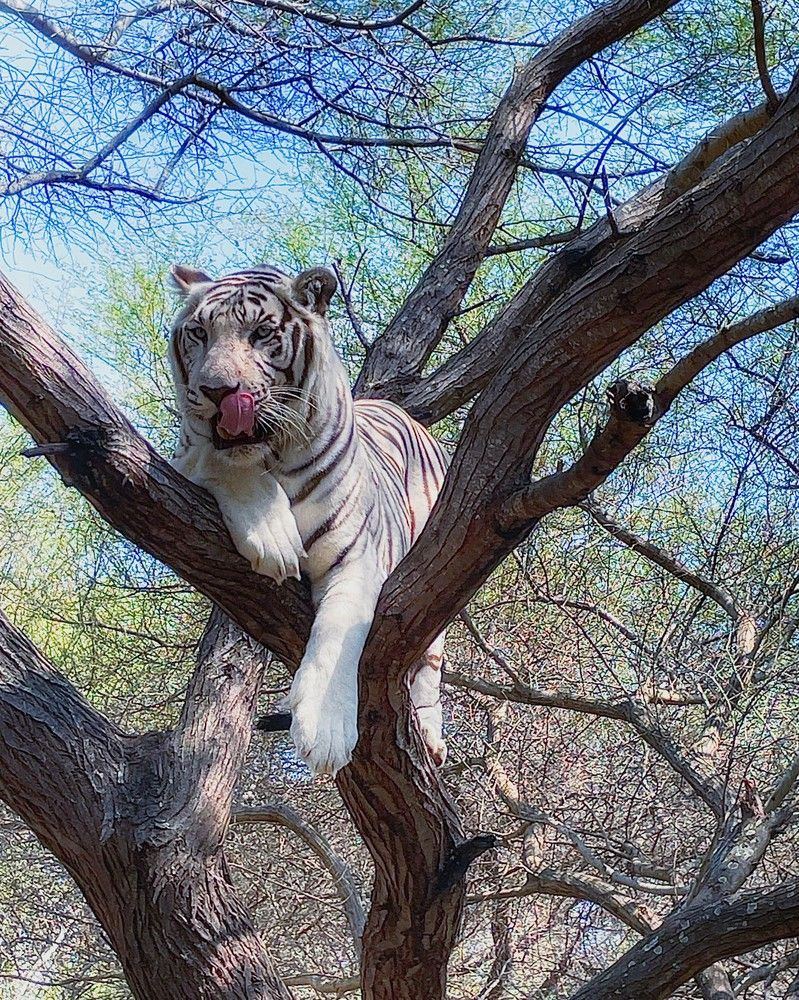 Photograph by Iuliia Akhulkova