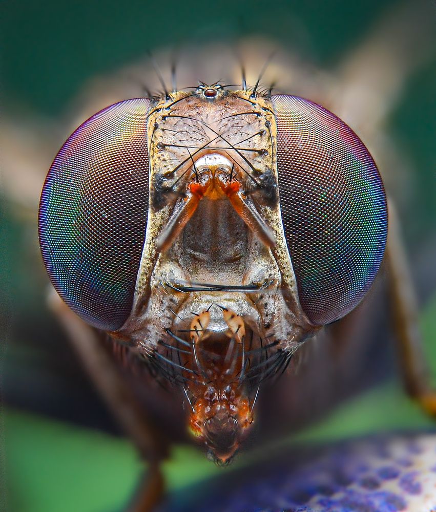 Photograph by Kasun Wickramasinghe