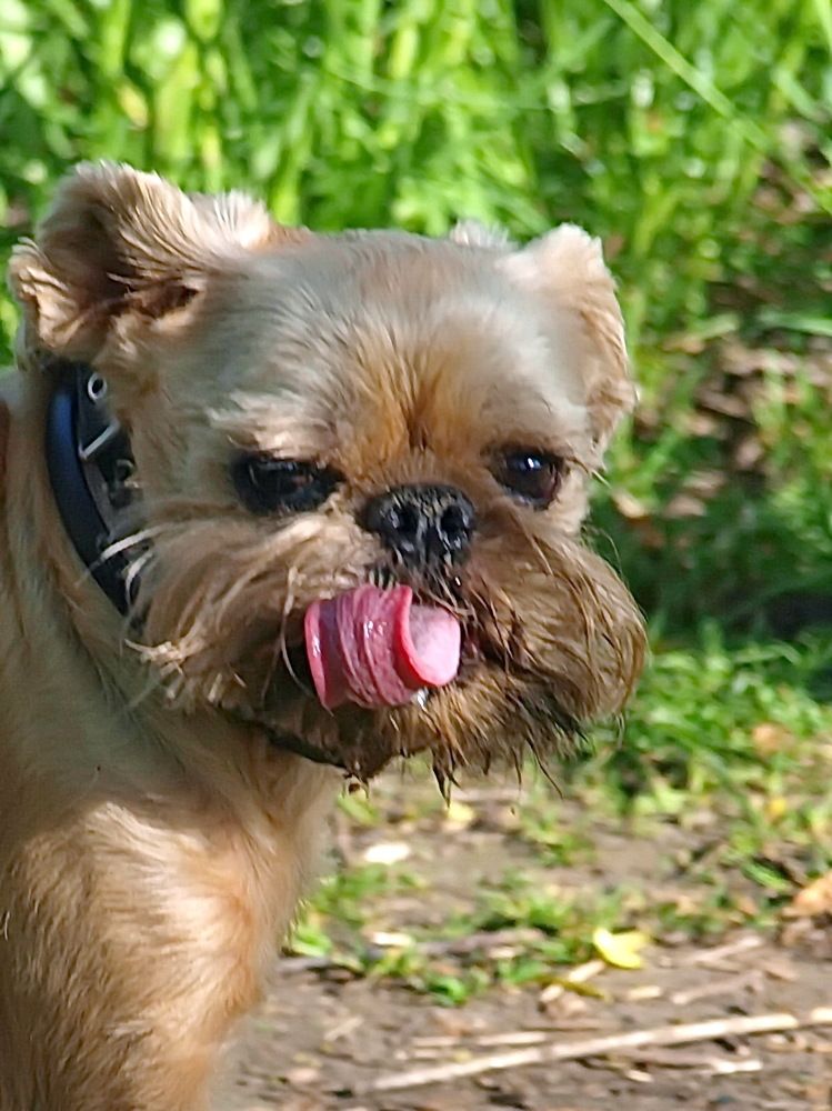 Photograph by Игорь Чеботарёв