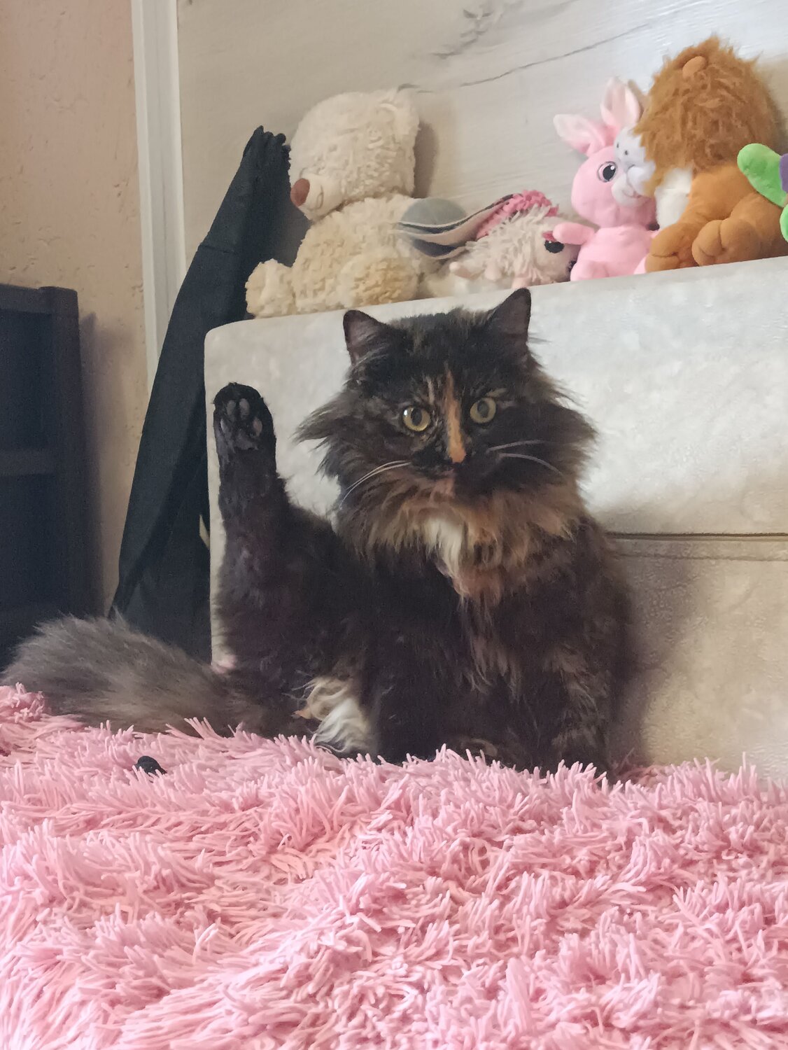 Photo #9808385