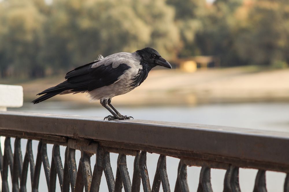 Photograph by Елена Квасова