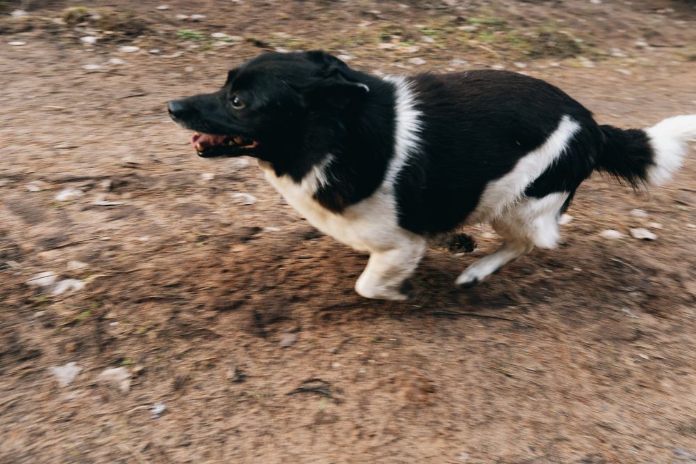 Фотография автора Алексей Сухоруков
