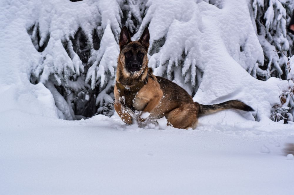 Photograph by Adis Rekic