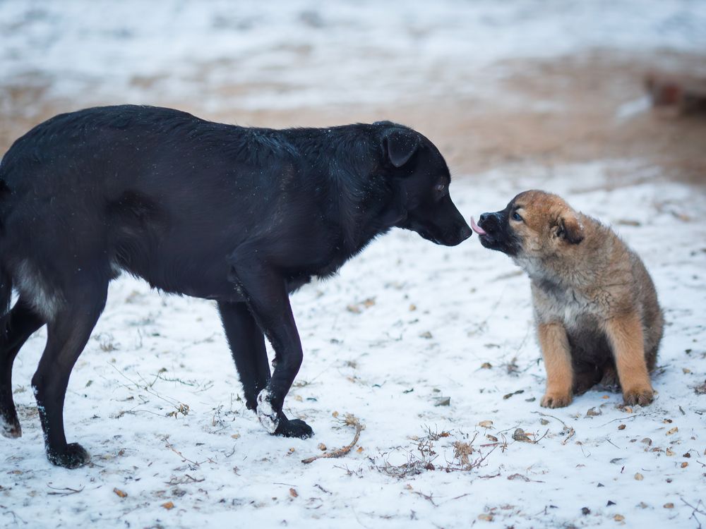 Photograph by Олег Дорошенко