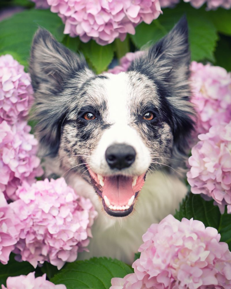 Photograph by Татьяна Полякова