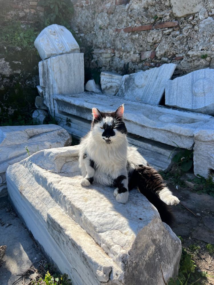 Photograph by Татьяна Унал