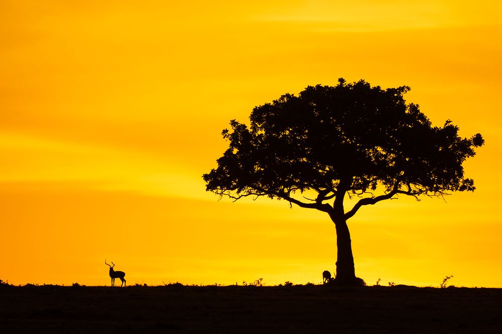 Photograph by Sujitt Manchini Nicholas