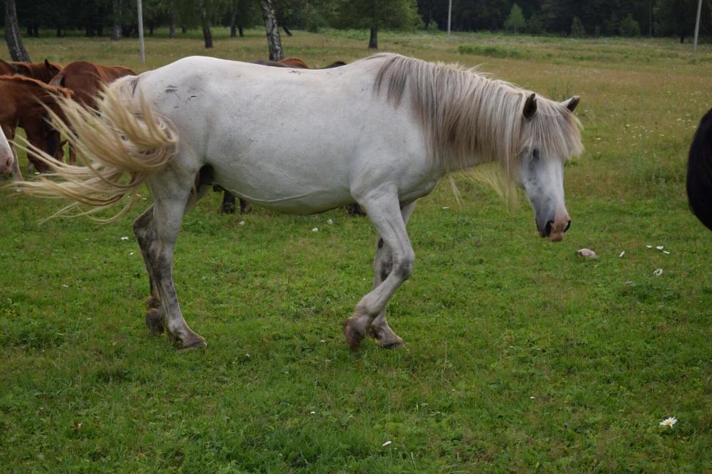 Photograph by Сауия Назмутдинова