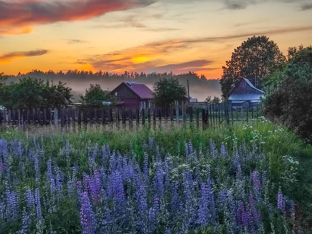 Photograph by Алёна Пшеленская