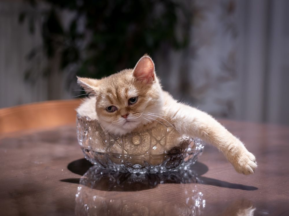 Photograph by Олег Дорошенко