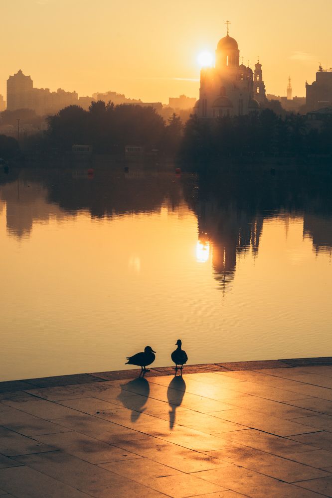 Photograph by Елена Шихалева